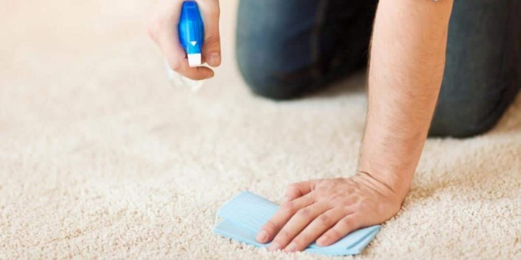 process of removing dried paint from the carpet
