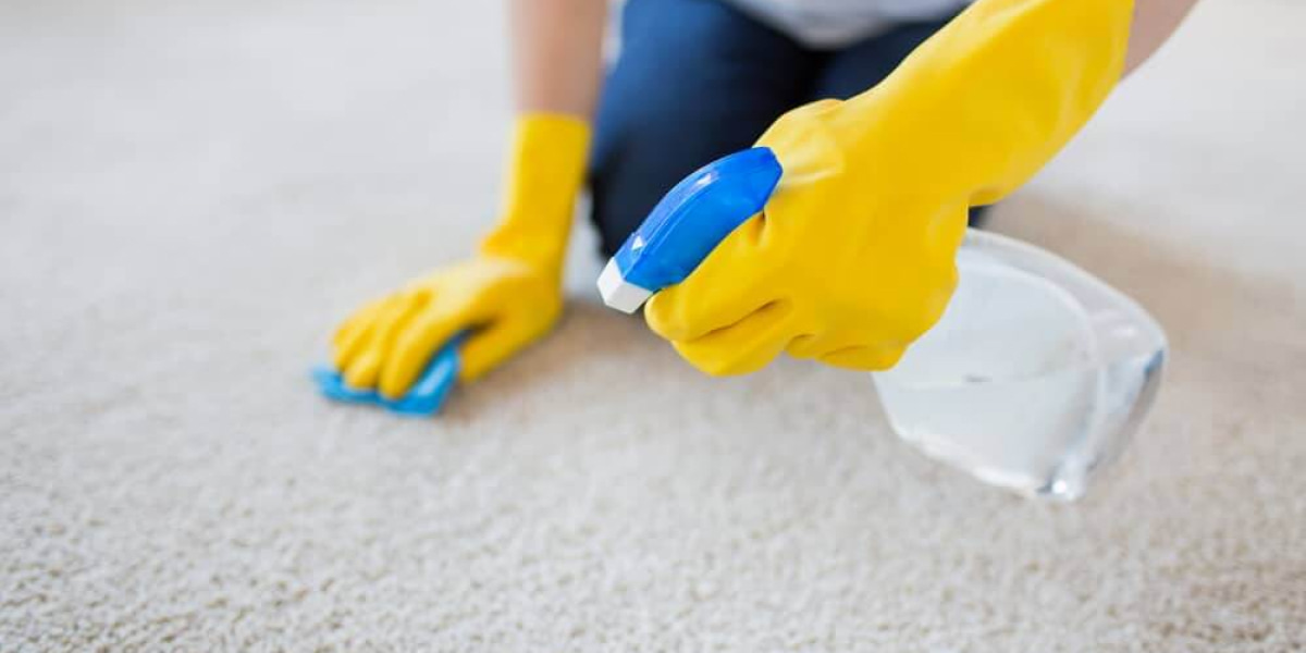 How To Remove Paints From Carpet? House2Keep