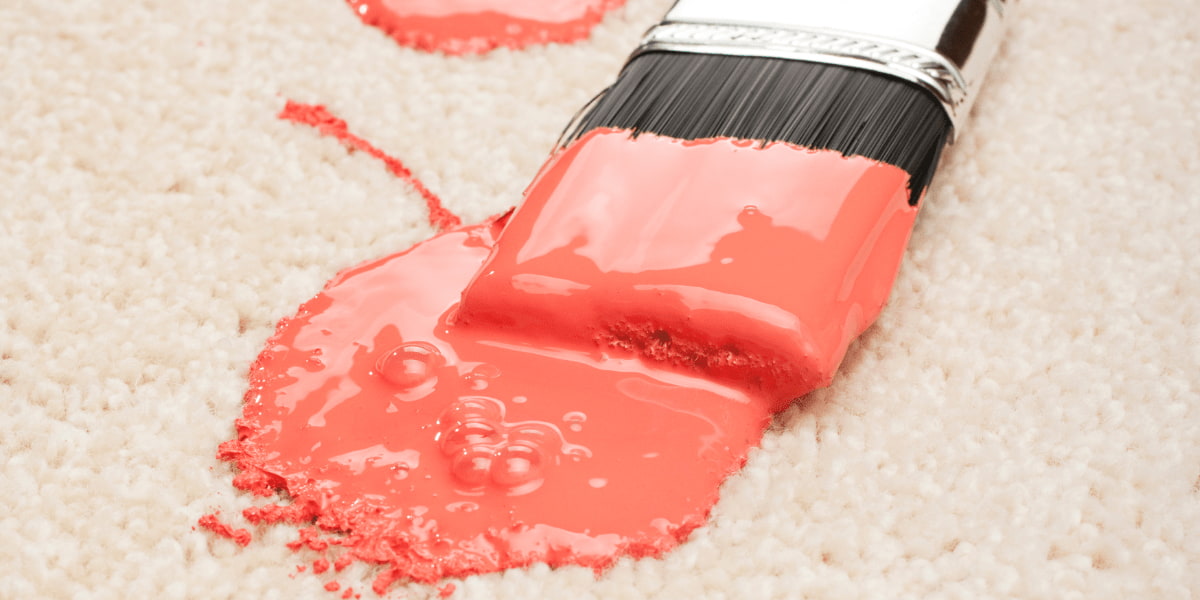 How To Remove Paints From Carpet? House2Keep