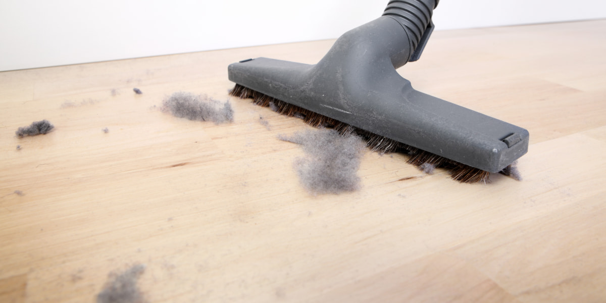 How To Keep Dust Out Of House? 11 Tips House2Keep