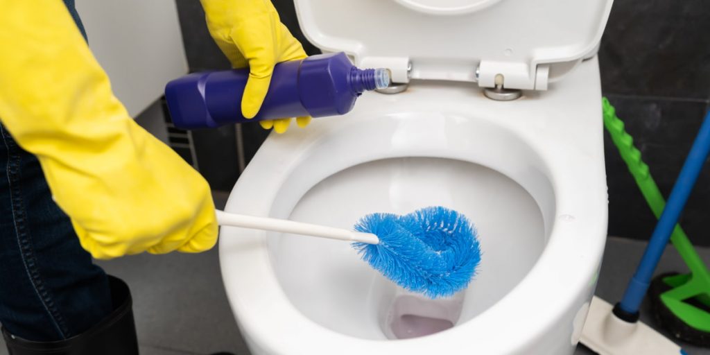 clearing a clogged toilet with a dish soap