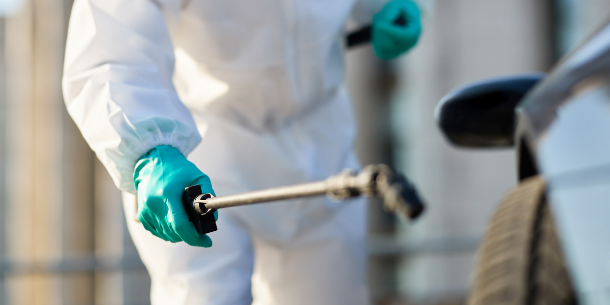 12 Working Ways To Get Rid Of Moths In Garage