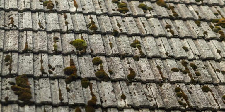 how-to-remove-moss-from-roof