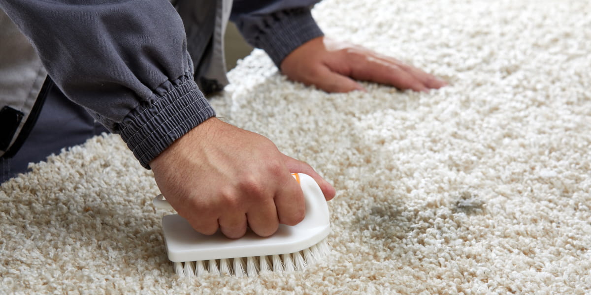 How To Get Old Stains Out Of Carpet? 17 Most Efficient Ways