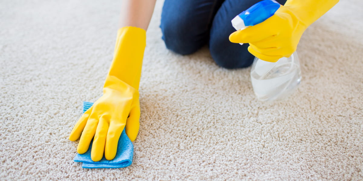 How To Dye Carpet All You Need To Know Before Beginning!
