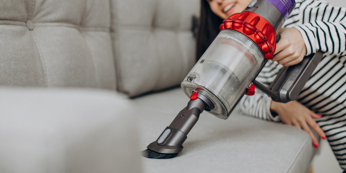 How To Get Rid Of Fleas Naturally At Home? Ways & Remedies!