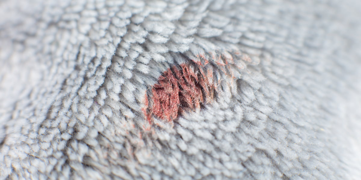 How To Get Old Stains Out Of Carpet? 17 Most Efficient Ways