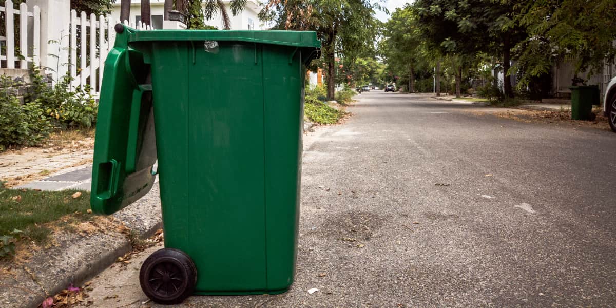 How To Get Rid Of Raccoons In The House? Best Humane Methods