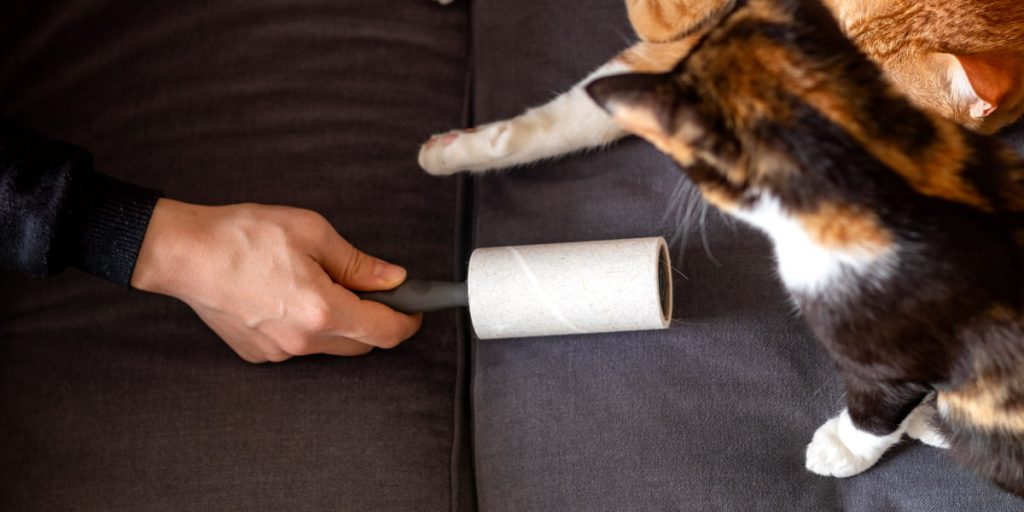 man use lint roller in front of two cats