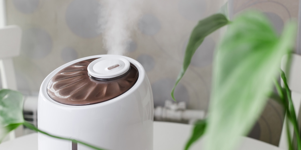 The Best Humidity Level For A Home & How To Achieve It In Yours
