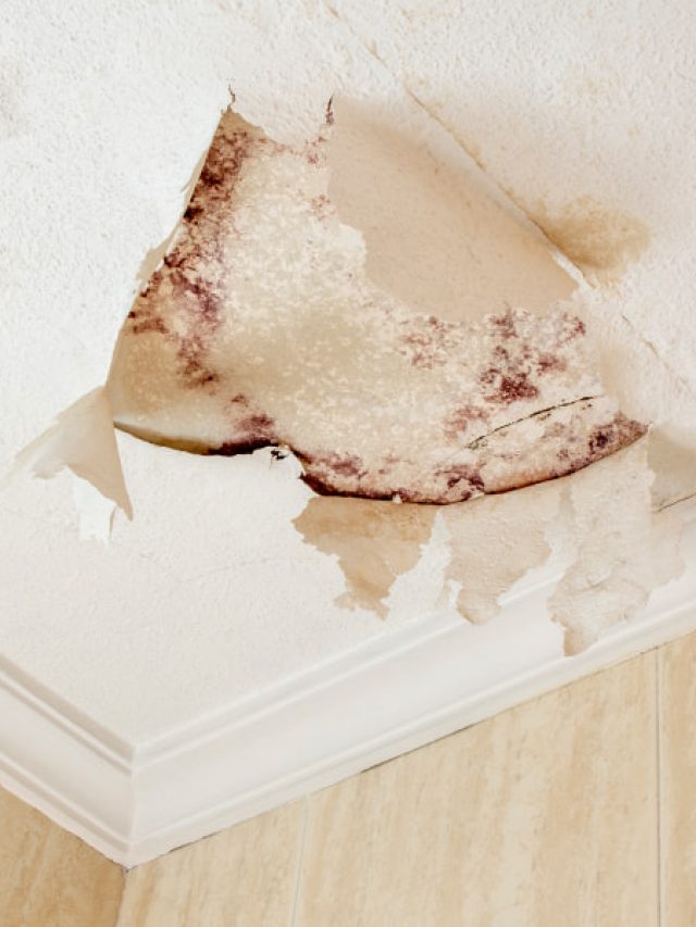 How To Repair A Water Damaged Ceiling House Keep